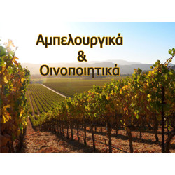 60 κελιά πλαστικού πλαισίου Βασιλοτροφίας
